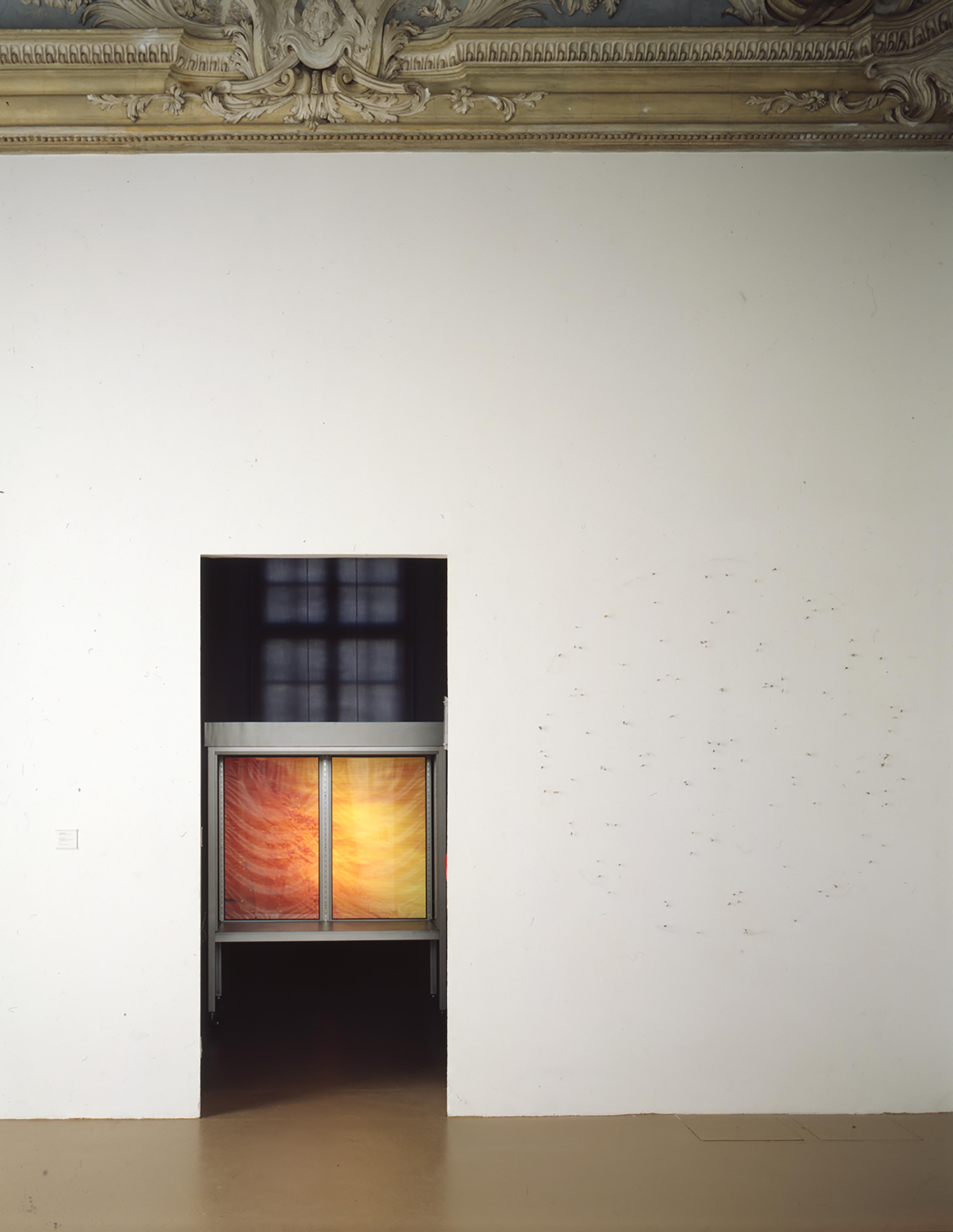 u0022Collezioni di Francia. Le opere dei fondi regionali du2019arte contemporaneau0022, veduta espositiva